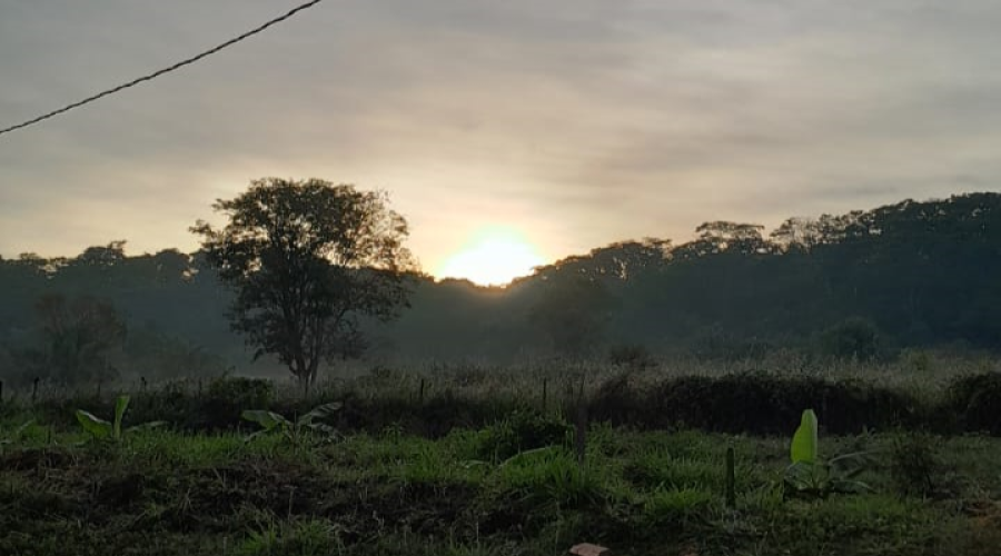 Reflorestamento no Sítio Recanto Paz e Bem, em Rio Negro/MS