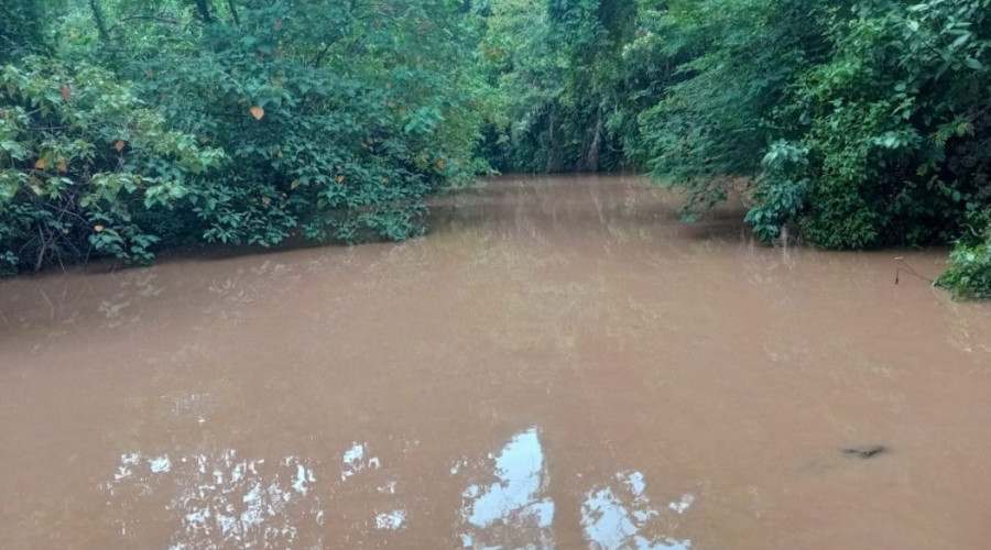 Povo Chiquitano denuncia crime ambiental em Área de Preservação Permanente